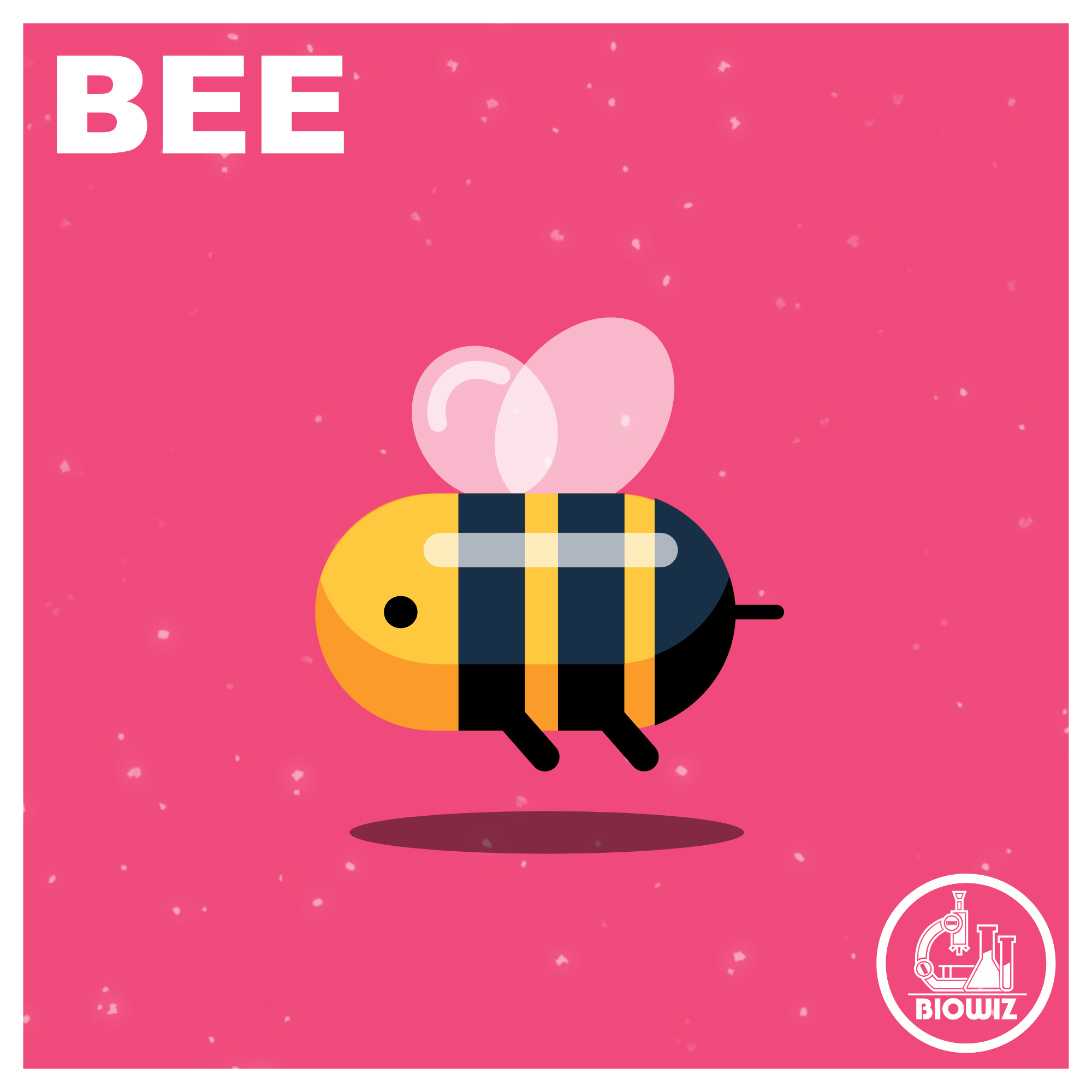 Honeybee