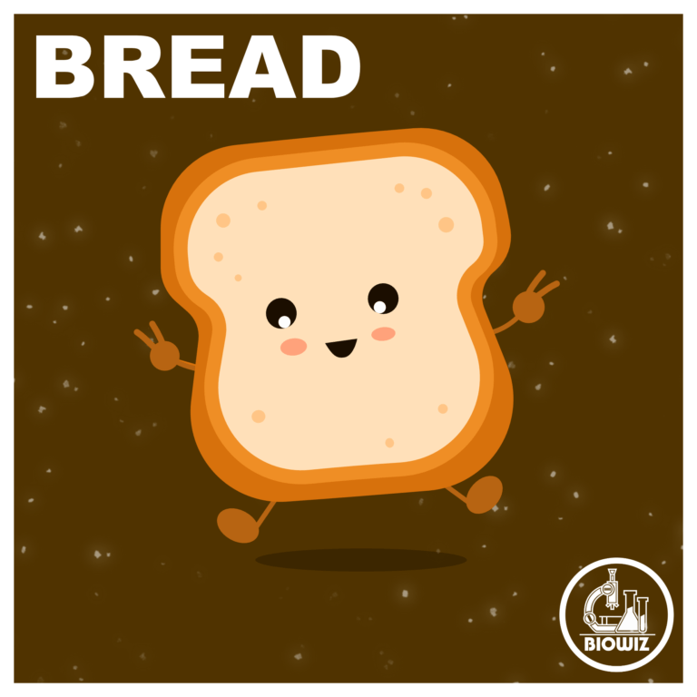 Vector Illustration of Bread