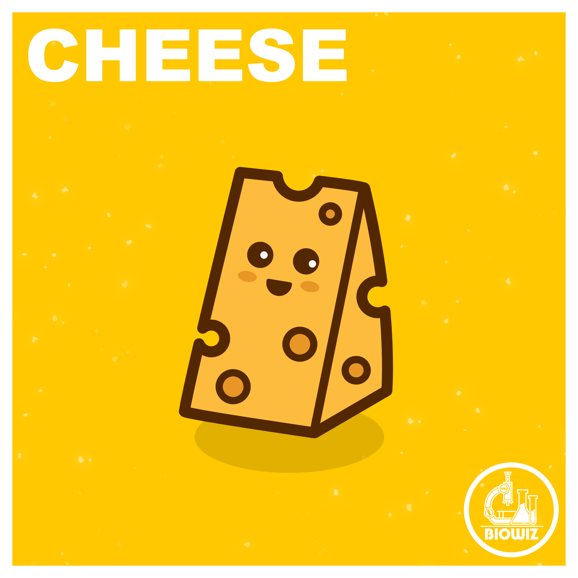 Cheese – Swiss cheese with large holes