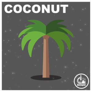 COCONUT TREE