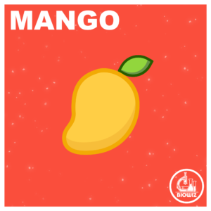 VECTOR ILLUSTRATION OF MANGO FRUIT