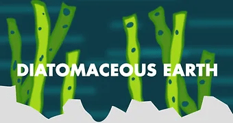 Diatomaceous earth formed from diatom cell walls